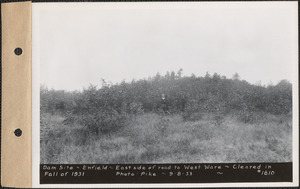 Dam site, east side of road to West Ware, cleared in fall of 1931, Enfield, Mass., Sep. 8, 1933