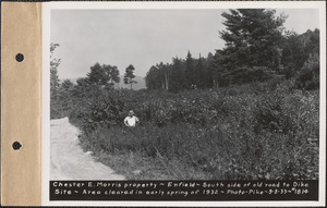 Chester E. Morris, south side of old road to dike site, area cleared in early spring of 1932, Enfield, Mass., Sep. 8, 1933