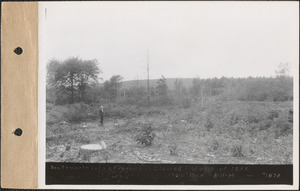 Southworth lot, cleared winter of 1933, Greenwich, Mass., Aug. 15, 1934