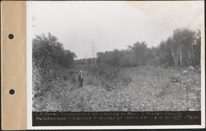 New England Power transmission line, clearing on Mary L. Haskell property, cleared winter of 1933-1934, Belchertown, Mass., Aug. 15, 1934