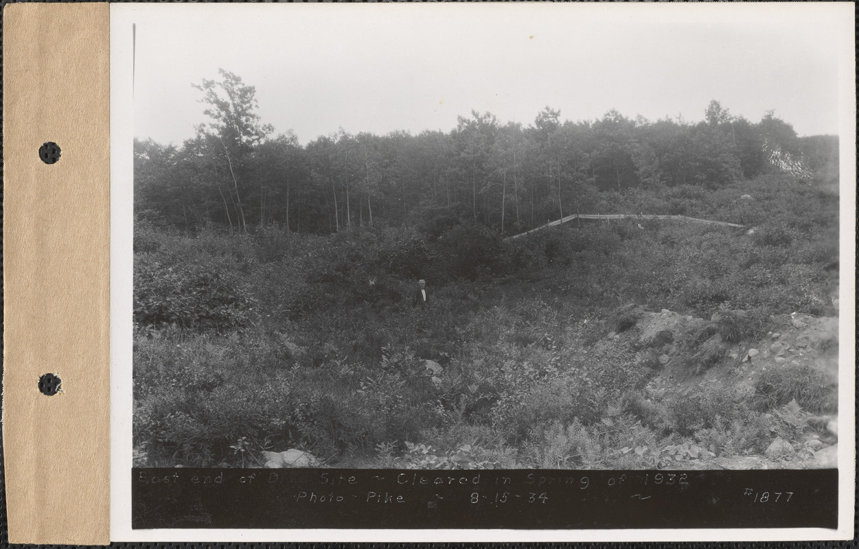 East end of dike site, cleared in spring of 1932, Enfield, Mass., Aug. 15, 1934