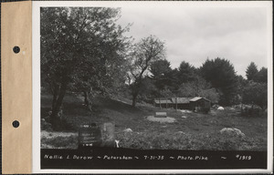 Nellie L. Dorow, chicken houses, Petersham, Mass., July 31, 1935