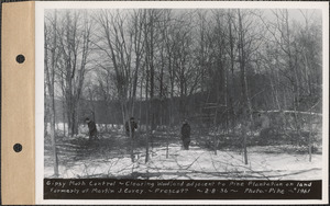 Gypsy moth control, clearing woodland adjacent to Pine Plantation on land formerly of Martin C. Corey, Prescott, Mass., Feb. 8, 1936