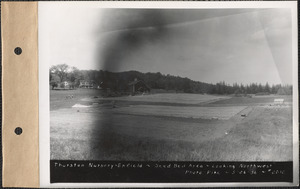 Thurston Nursery, seed bed area, looking northwest, Enfield, Mass., May 26, 1936