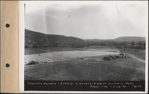 Thurston Nursery, general view of southerly part, Enfield, Mass., May 26, 1936