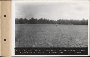 Experimental plantation of Norway pine, three-year root pruned seedlings, planted May 1936 on the Frank Allen property, looking southerly from Egypt Road, Prescott, Mass., May 26, 1936