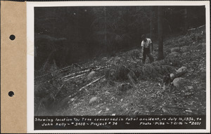 Location and tree concerned in fatal accident, on July 16, 1936, to John Kelly, #3408, Project #74, Quabbin Reservoir site, Mass., July 21, 1936