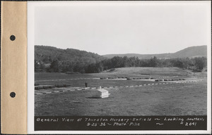 Thurston Nursery, general view looking southerly, Enfield, Mass., Sep. 25, 1936