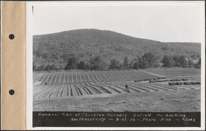 Thurston Nursery, general view looking southeasterly, Enfield, Mass., Sep. 25, 1936