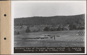 Thurston Nursery, general view looking easterly, Enfield, Mass., Sep. 25, 1936