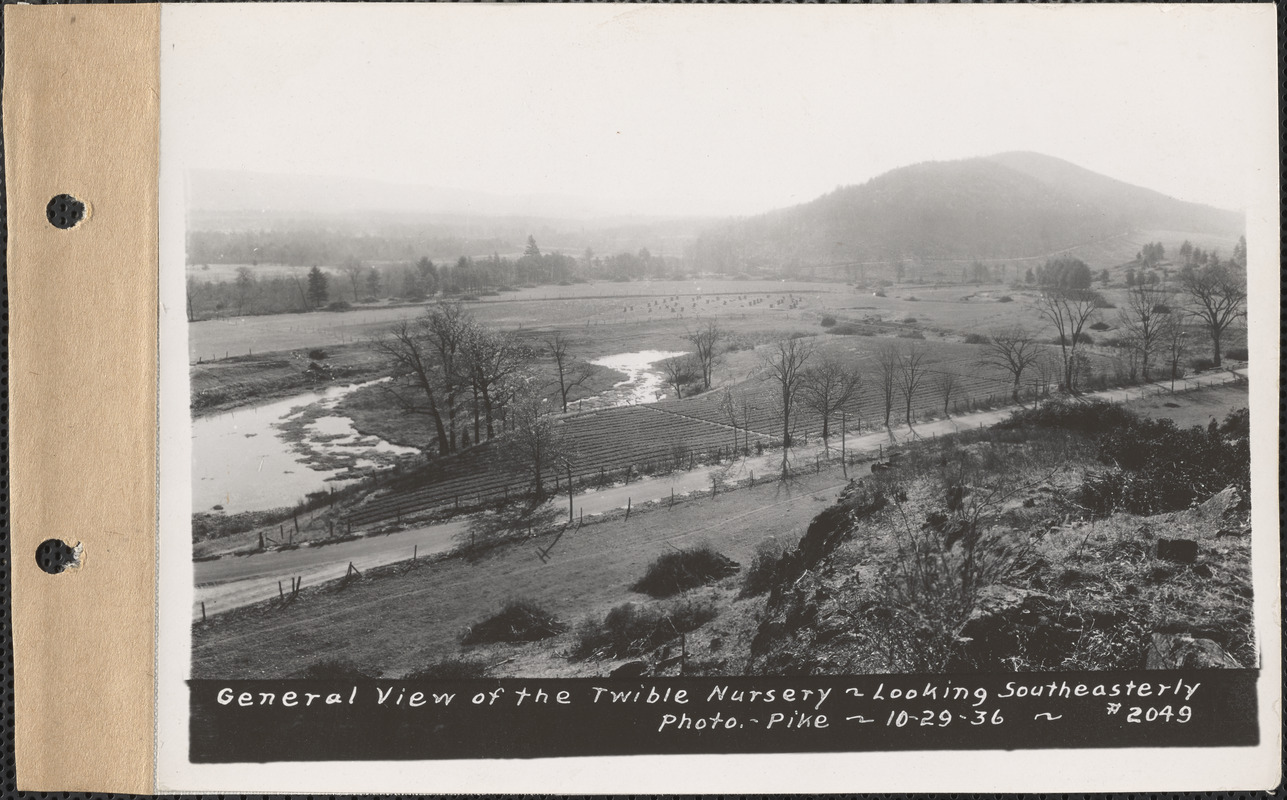 Twible Nursery, general view, looking southeasterly, Greenwich, Mass., Oct. 29, 1936