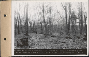 Duggan and Maher, looking westerly at swamp from near proposed lot #330, view of swamp, Greenwich, Mass., Apr. 12, 1937