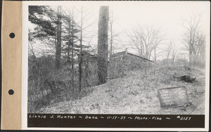 Lizzie J. Hunter, henhouses, Dana, Mass., Nov. 17, 1937