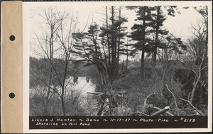 Lizzie J. Hunter, shoreline on mill pond, Dana, Mass., Nov. 17, 1937