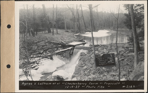 Agnes V. Latham et al., Checkerberry farm, picnic grounds, Prescott, Mass., Dec. 15, 1937