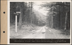 Trees cut at sides of Dana-Hardwick Road, looking northerly from near Hardwick-Dana line, Mass., Feb. 19, 1938