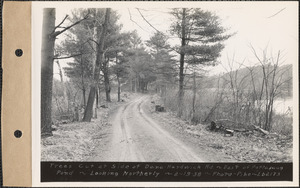 Trees cut at sides of Dana-Hardwick Road, east of Pottapaug Pond, looking northerly, Mass., Feb. 19, 1938