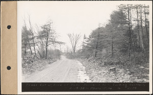 Trees cut at sides of Dana-Hardwick Road, looking northerly, Mass., Feb. 19, 1938