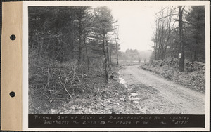 Trees cut at sides of Dana-Hardwick Road, looking southerly, Mass., Feb. 19, 1938