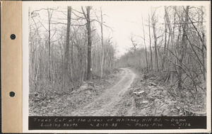 Trees cut at the sides of the Whitney Hill Road, looking north, Dana, Mass., Feb. 19, 1938