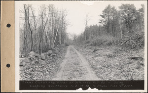 Trees cut at the sides of the Whitney Hill Road, looking northerly, Dana, Mass., Feb. 19, 1938
