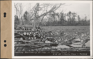 Looking northerly at logs in Hacker Pond, New Salem, Mass., Apr. 14, 1939