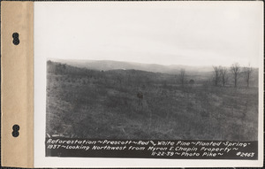 Reforestation, red and white pine, planted spring 1937, looking northwest from Myron E. Chapin property, Prescott, Mass., Nov. 22, 1939