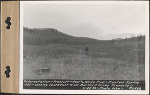Reforestation, red and white pine, planted spring 1935, looking southeast from Martin J. Corey property, Prescott, Mass., Nov. 22, 1939
