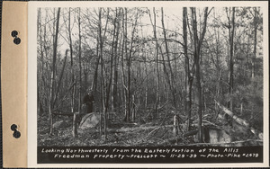 Looking northwesterly from the easterly portion of the Allis Freedman property, Prescott, Mass., Nov. 29, 1939