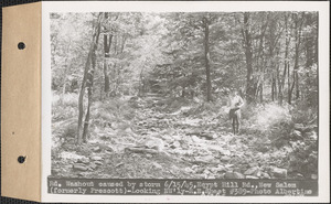 Road washout caused by storm June 15, 1945, Egypt Hill Road, looking northwesterly, New Salem (formerly Prescott), Mass., July 3, 1945