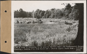 View of area in Petersham to be used by Harvard University for experimental forest planting, looking southerly from Route 122, Petersham, Mass., Aug. 25, 1948