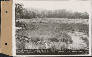 View of area in Petersham to be used by Harvard University for experimental forest planting, looking southeasterly from Route 122, Petersham, Mass., Aug. 25, 1948