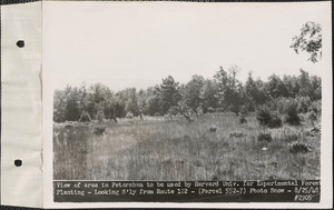 View of area in Petersham to be used by Harvard University for experimental forest planting, looking southerly from Route 122, Petersham, Mass., Aug. 25, 1948