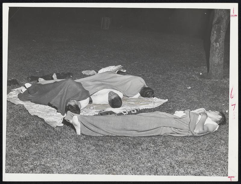 They Need Blankets?- Well, apparently it was cool enough out on the grass off Columbia Rd., South Boston, for a little covering.