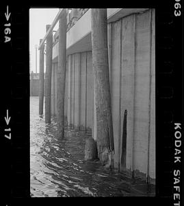 Waterfront pilings