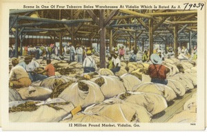 Scene in one of four tobacco sales warehouses at Vidalia which is rated as a 12 million pound market, Vidalia, Ga.