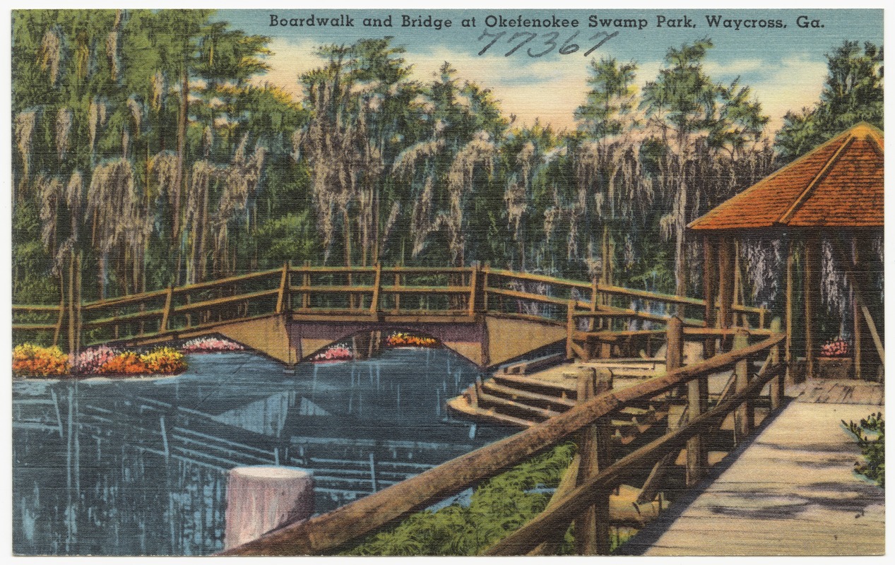 Boardwalk and bridge at Okefenokee Swamp Park, Waycross, Ga. Digital