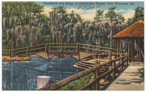 Boardwalk and bridge at Okefenokee Swamp Park, Waycross, Ga.