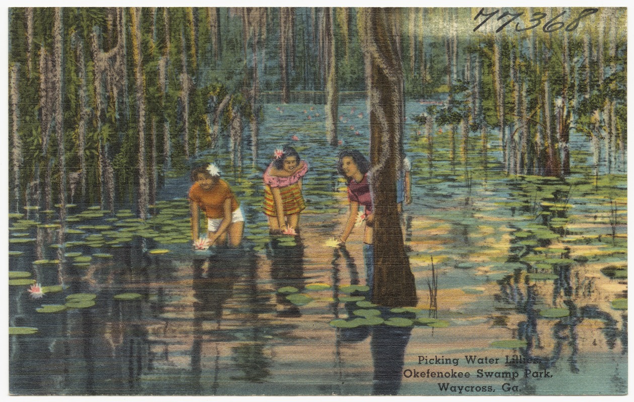 Picking water lilies, Okefenokee Swamp Park, Waycross, Ga.