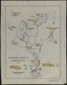 Harvard Forest Properties 1937