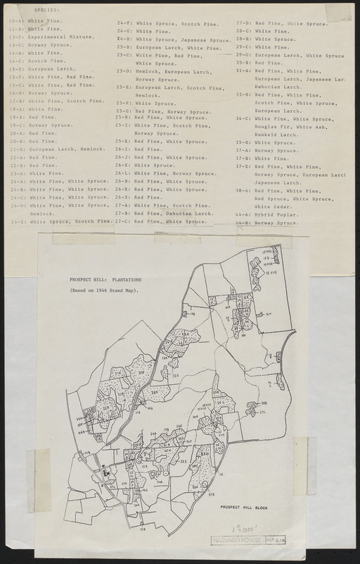 Plantation Maps of Prospect Hill Tract