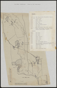 Plantation Maps of Tom Swamp Tract