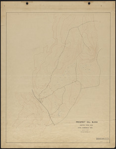 Prospect Hill Block Topographic map