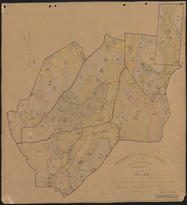 Prospect Hill Stand and Plantation map - 1919