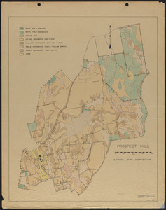 Prospect Hill Ultimate Type Distribution - 1944