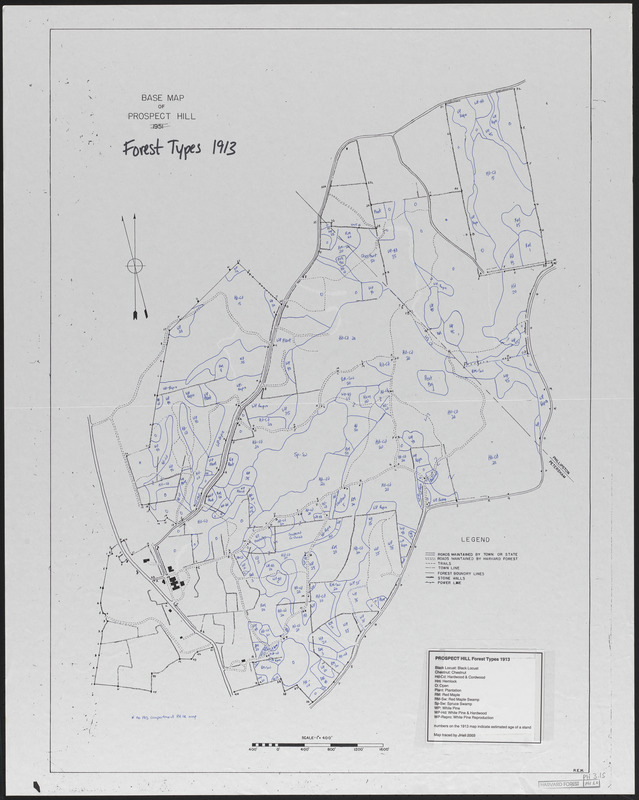 Prospect Hill Forest Types 1913