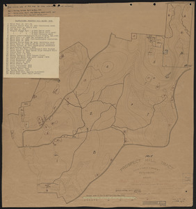 Prospect Hill Block-Plantations - 1915