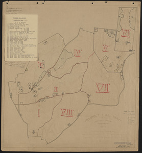 Prospect Hill Block-Plantations - 1917