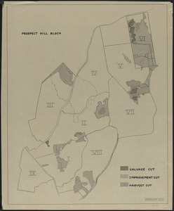 Prospect Hill Block - Forest Operations