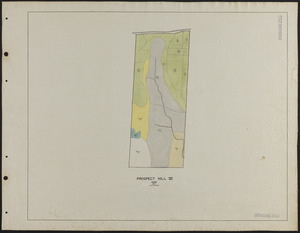 Prospect Hill VI 1929 Stand Map